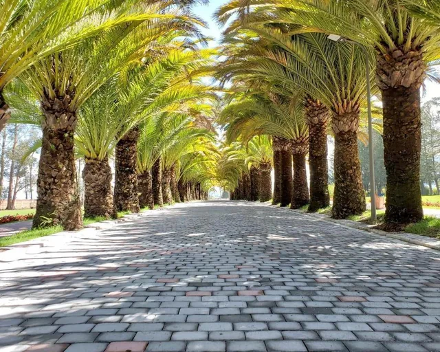 Puembo Terreno de Venta en Urbanizacion Exclusiva — imagen 5