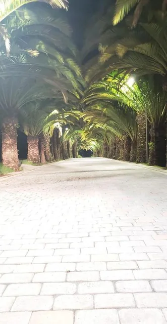 Puembo Terreno de Venta en Urbanizacion Exclusiva — imagen 3