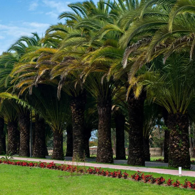 Puembo Terreno de Venta en Urbanizacion Exclusiva — imagen 2