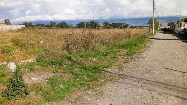 Venta Terreno de 3.940 m² Ideal Para Conjunto Habitacional Gb — imagen 2