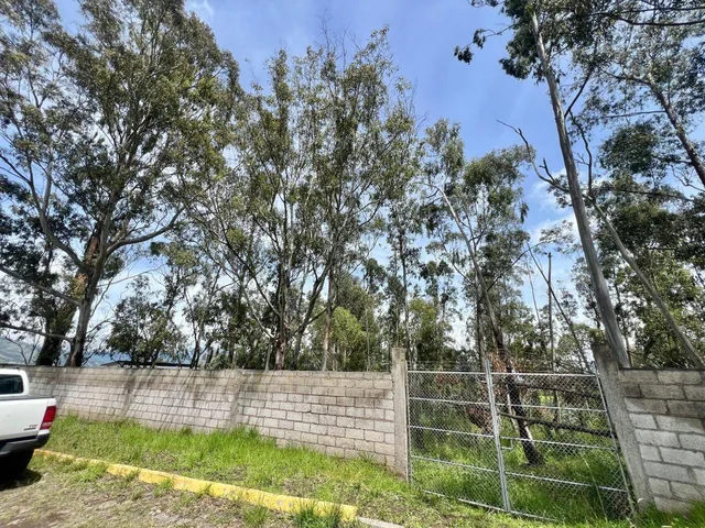 Terreno de Venta en Pifo 804 m² Ciudadela Wilson — imagen 5