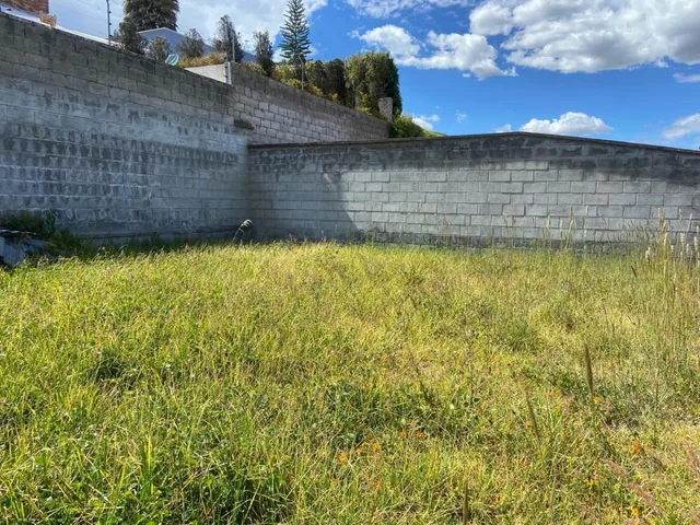 Terreno con Proyecto Aprobado Para Casa en Miravalle — imagen 2