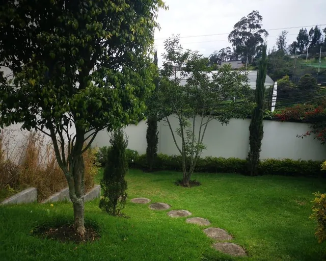 Venta Departamento de 3 Dorm., Sector Urabá — imagen 2