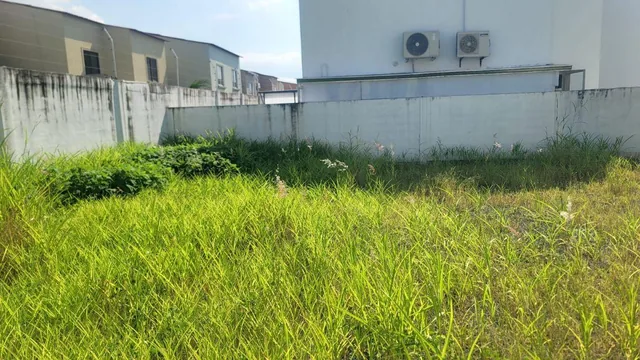 Casa de Estreno en Venta en La Rioja Av Leon Febres Cordero - Mae. Recalde, Guayas — imagen 2