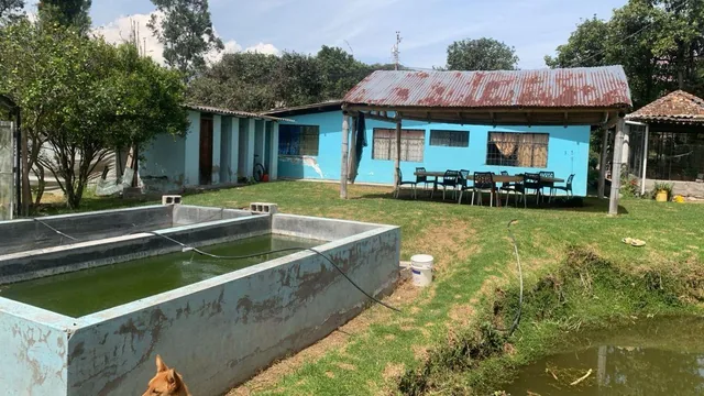 H/ Guayllabamba, Terreno Plano de 5217 m² Para Proyecto Turístico o Inmobiliario — imagen 2