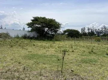 Venta 8 Terrenos en Puembo en Lotización de Primara — imagen 4
