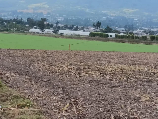 Terreno - Atuntaqui, Imbabura — imagen 4