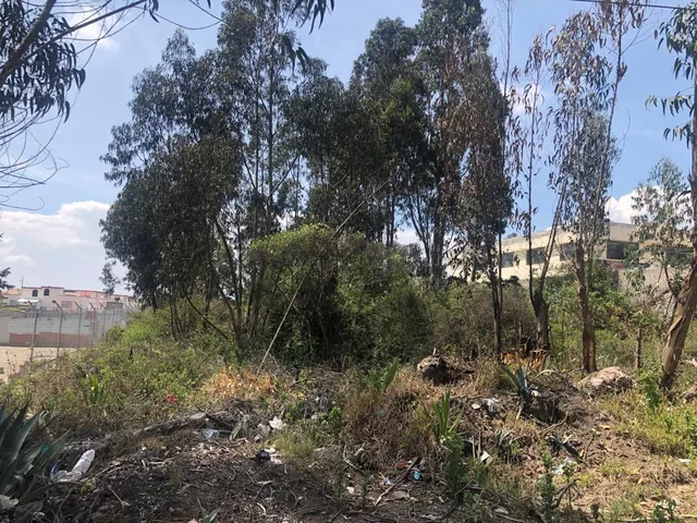 Vendo Terreno - Calle Adoquinada - Marianitas Calderon - *mm — imagen 4