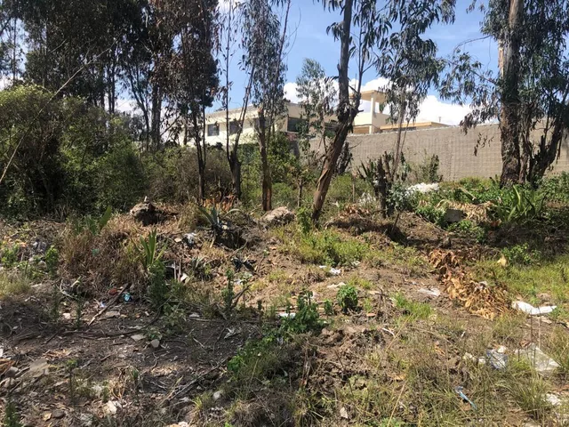 Vendo Terreno - Calle Adoquinada - Marianitas Calderon - *mm — imagen 3