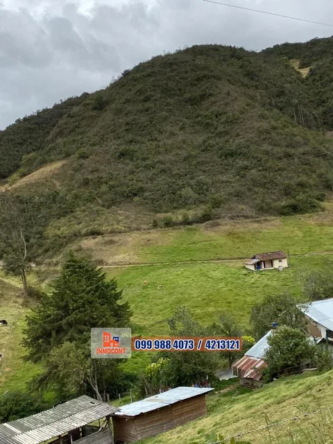 Seis Has de Venta Sector Gulcay (San Agustin - Cumbe), Azuay — imagen 5