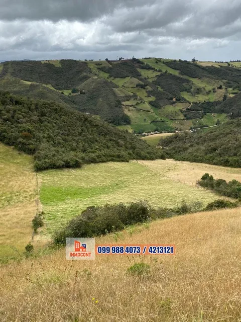 Seis Has de Venta Sector Gulcay (San Agustin - Cumbe), Azuay — imagen 4
