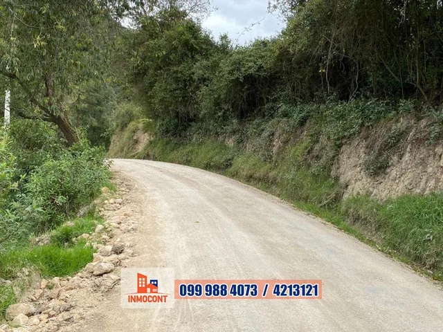 Seis Has de Venta Sector Gulcay (San Agustin - Cumbe), Azuay — imagen 3