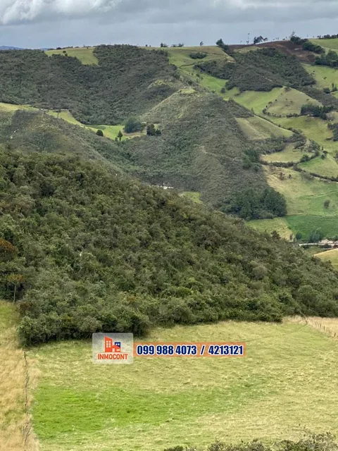 Seis Has de Venta Sector Gulcay (San Agustin - Cumbe), Azuay — imagen 2