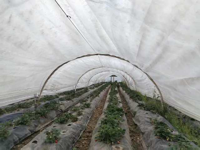 Jv Sector Yaruqui. Terreno en Venta 2.900 m Planos — imagen 4