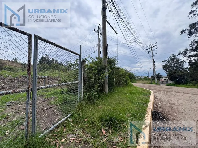 Venta Terreno San Patricio - Cumbayá - 3 Frentes. 5563 m². Provincia de Pichincha — imagen 5