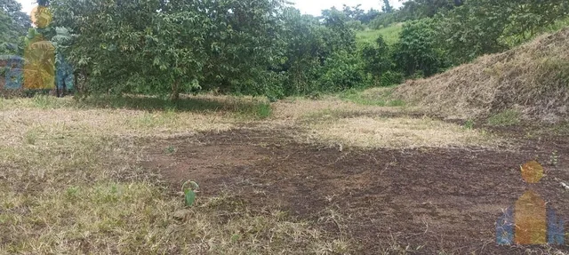Terreno en Venta en Pedro Vicente Maldonado 1554 m $38500 — imagen 5