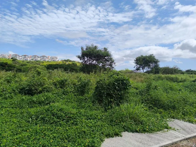 Terreno de Venta en Montecristi Golf Club Villas Am/v, Manabí — imagen 3