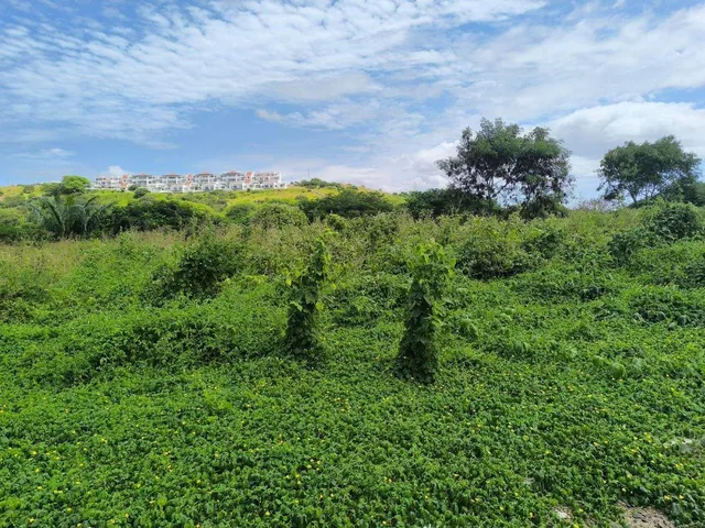 Terreno de Venta en Montecristi Golf Club Villas Am/v, Manabí — imagen 2