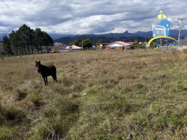 Terreno de 39300 m² en Venta en Norte de Cuenca, Sector Guangarcucho, Azuay — imagen 2