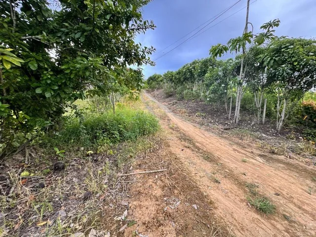 Terreno de Venta en Calceta Sitio Arrastradero, Manabí — imagen 4