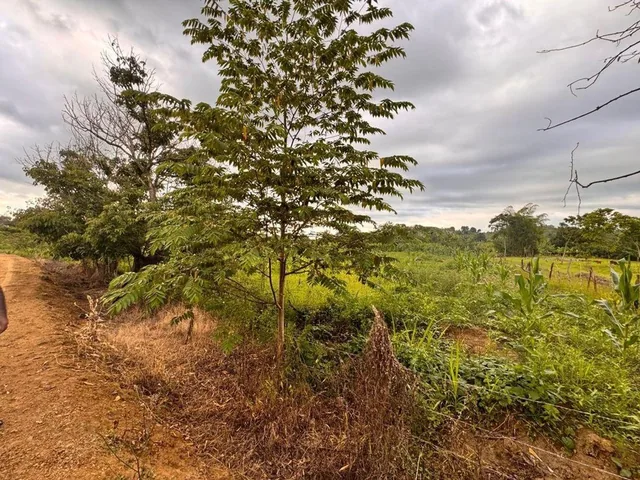 Terreno de Venta en Calceta Sitio Arrastradero, Manabí — imagen 2