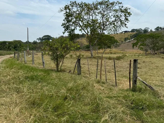 Terreno Agricola y Ganadería de Venta en Tosagua C/p, Manabí — imagen 4