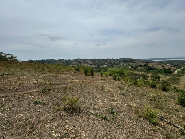 Terreno Agricola y Ganadería de Venta en Tosagua C/p, Manabí — imagen 3