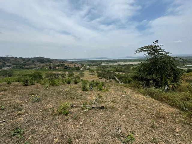 Terreno Agricola y Ganadería de Venta en Tosagua C/p, Manabí — imagen 2