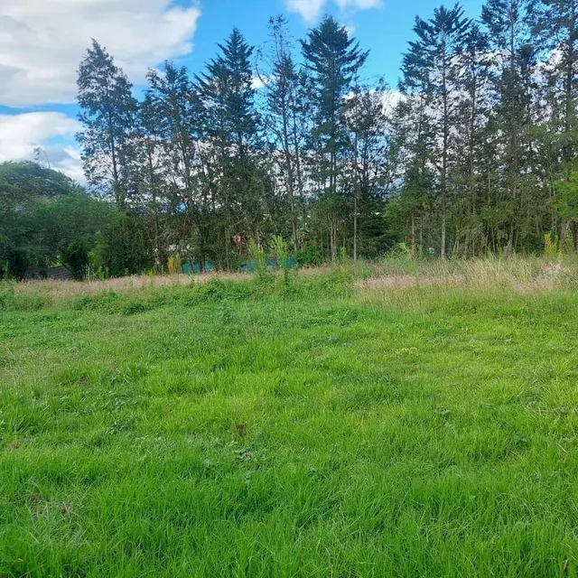 Terreno de 2364 m² en Venta en Urb. Arrayanes, Puembo — imagen 3