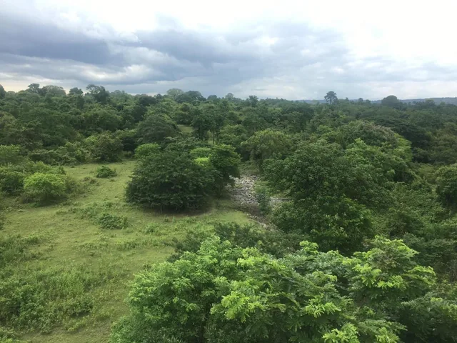 Vendo Terreno Para Proyecto Urbano en Sector Chongon Guayaquil, Guayas — imagen 5