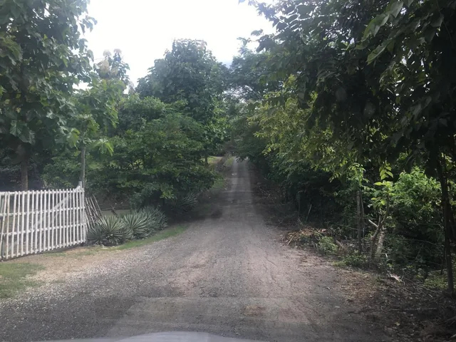 Vendo Terreno Para Proyecto Urbano en Sector Chongon Guayaquil, Guayas — imagen 4