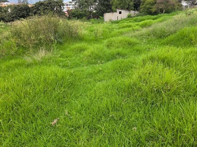 Terreno de Venta en Cumbayá — imagen 5