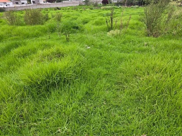 Terreno de Venta en Cumbayá — imagen 4
