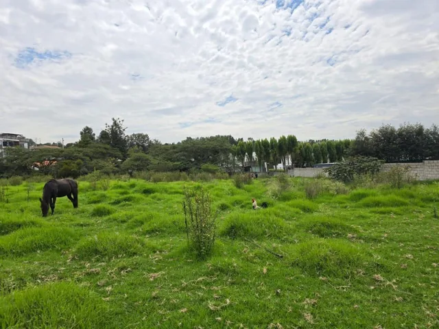 Terreno de Venta en Cumbayá — imagen 2
