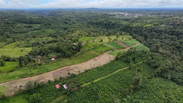 Lotes de Terreno en Venta | Quintas Vacacionales Illari | Pedro Vicente Maldonado — imagen 4