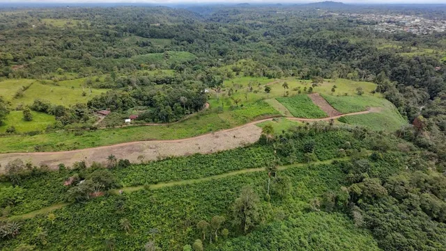 Lotes de Terreno en Venta | Quintas Vacacionales Illari | Pedro Vicente Maldonado — imagen 3