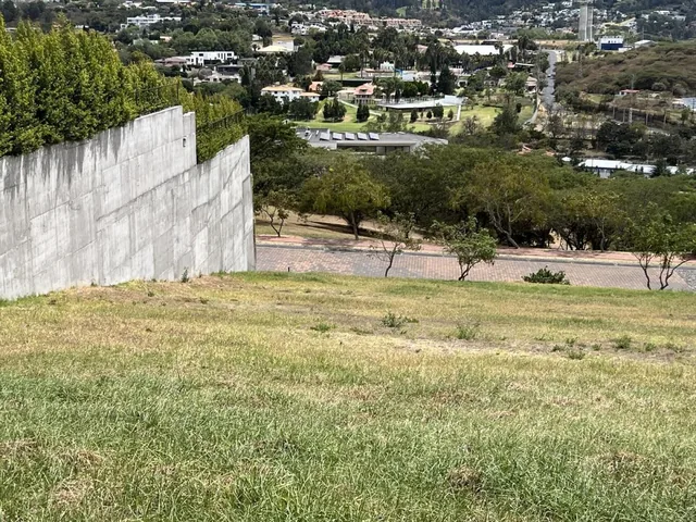 Venta Terreno en Cumbaya en Urbanización Exclusiva — imagen 3