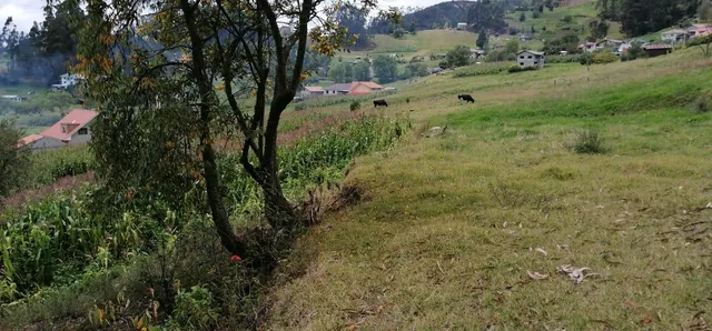 Vendo Terreno 13.000 m² con Casa en San Miguel del Valle, Azuay — imagen 5