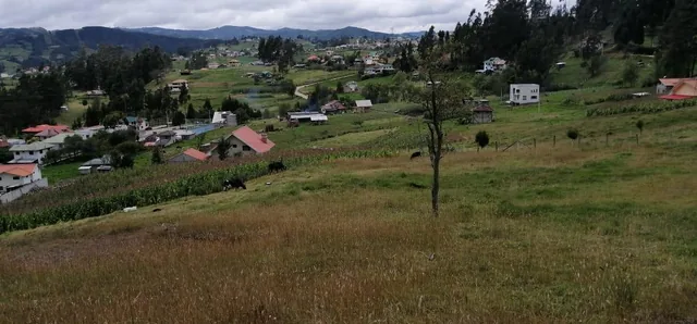 Vendo Terreno 13.000 m² con Casa en San Miguel del Valle, Azuay — imagen 3