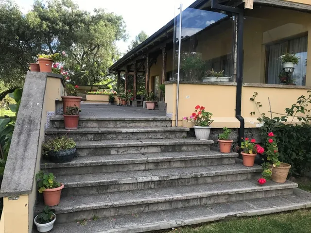 Terreno de Venta Pomasqui con Casa 7.000 m² $750.000 — imagen 5