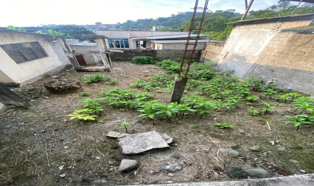 Vivienda y Terreno en La Coop. de Vivienda Ciudad Nueva — imagen 2