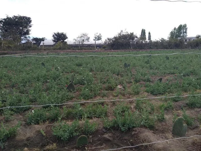 Vendo Terreno de 26550 m en Tababela — imagen 5