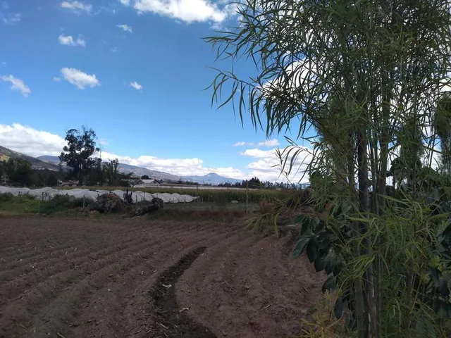 Vendo Terreno de 26550 m en Tababela — imagen 4