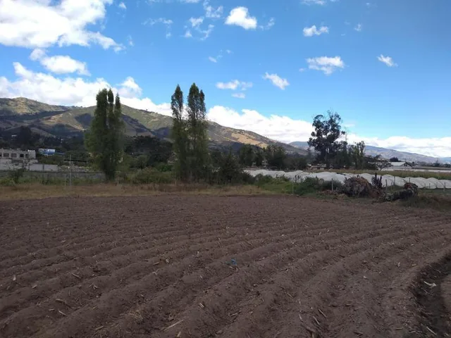 Vendo Terreno de 26550 m en Tababela — imagen 3