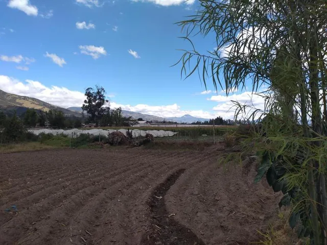 Vendo Terreno de 26550 m en Tababela — imagen 2