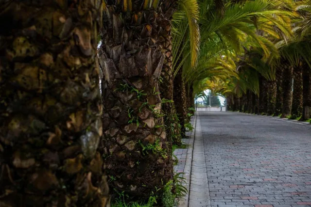 Venta Puembo Hermoso Terreno Urbanización Lujo Naturaleza — imagen 2