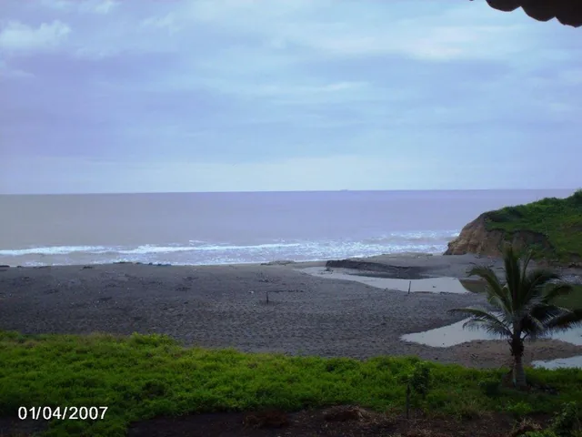 Venta 150 Has en Playa Esmeraldas Muisne — imagen 3