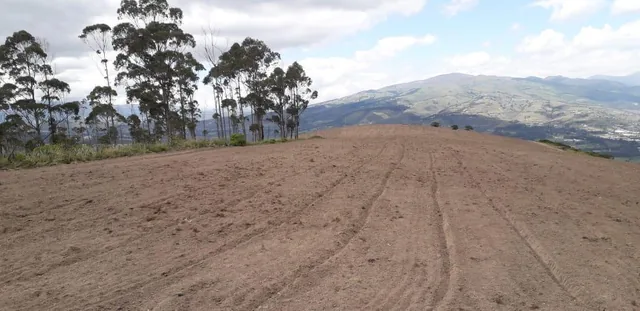 Re/max Futuro Vende Finca de 61 Has Proyecto Lotizacion/agro en Cochasqui — imagen 4