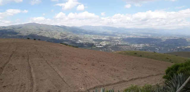 Re/max Futuro Vende Finca de 61 Has Proyecto Lotizacion/agro en Cochasqui — imagen 2