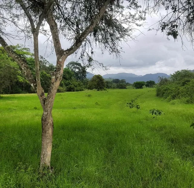Venta de Terreno en Quintas Río Olón — imagen 4